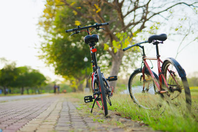 Two red bicycle parking on street with sunset background