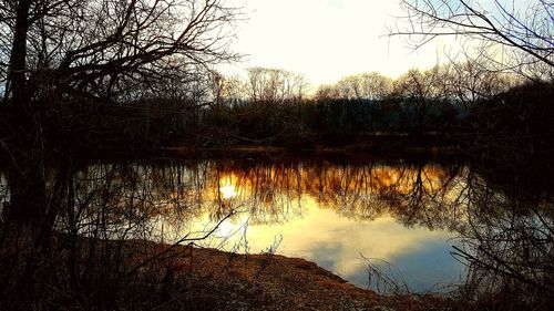 Reflection of silhouette trees on lake against sky during sunset