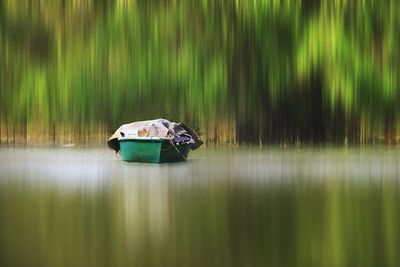 Boat in lake at forest
