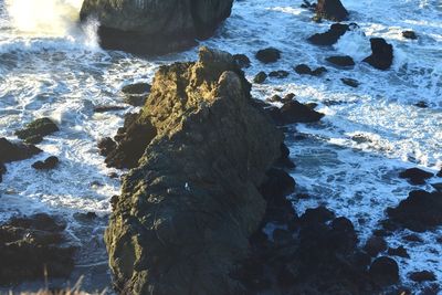 High angle view of rocks in sea