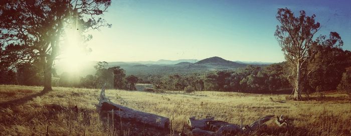 Scenic view of landscape against clear sky