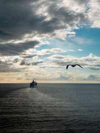 Seagull flying over sea against sky