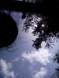 Low angle view of trees against sky