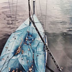 Boats in sea