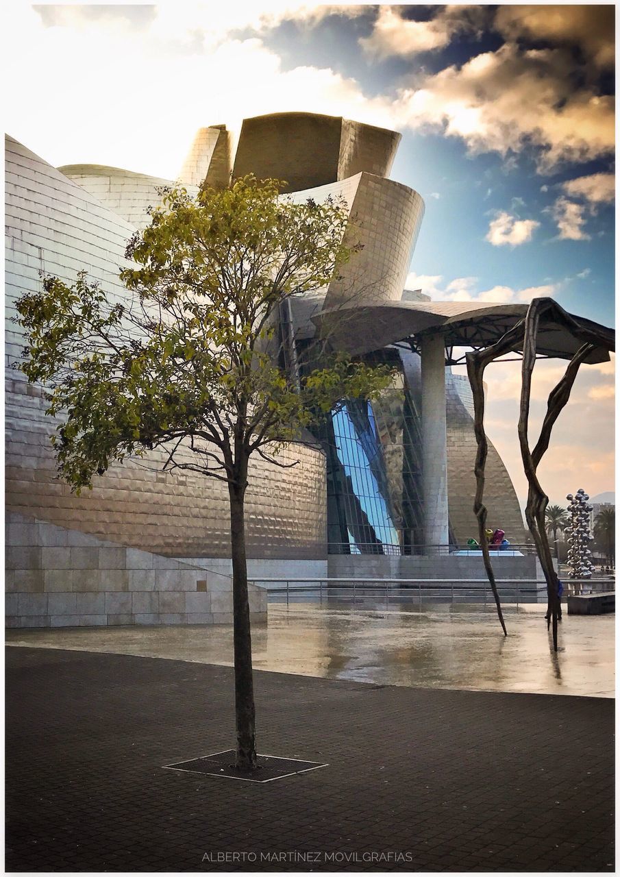 TREE BY SWIMMING POOL AGAINST SKY