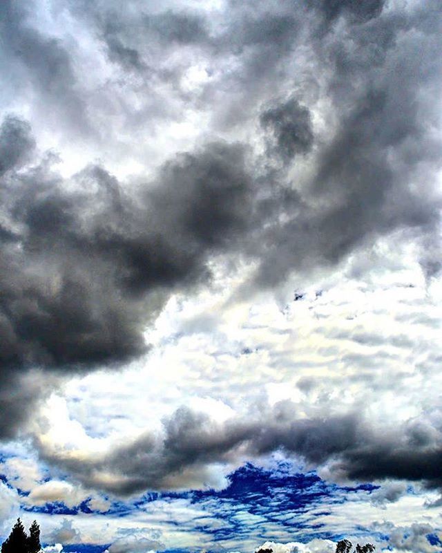 cloud - sky, sky, cloudy, low angle view, weather, beauty in nature, scenics, overcast, tranquility, nature, cloudscape, tranquil scene, cloud, storm cloud, silhouette, flying, outdoors, day, idyllic, no people