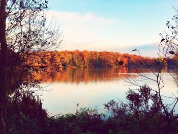 Reflection of bare trees in lake against sky