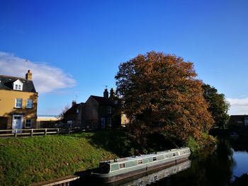 View of trees and houses against blue sky