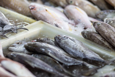 Close-up of fish for sale in market