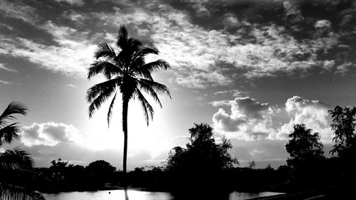 Low angle view of silhouette trees against storm clouds