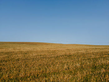 Scenic view of field against clear sky