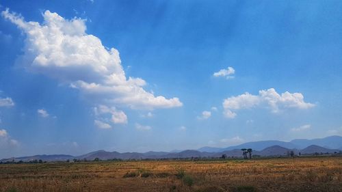 Scenic view of field against sky