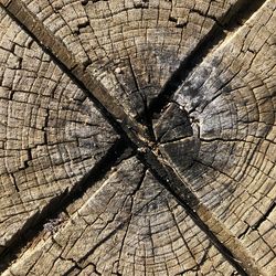 Full frame shot of tree stump