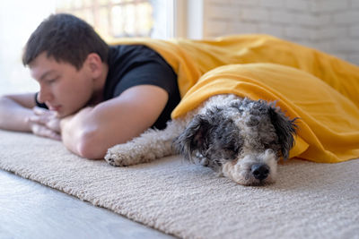 Close-up of a dog sleeping on bed at home