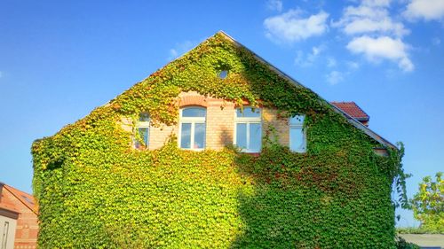 Low angle view of building against blue sky