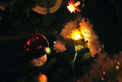 Close-up of illuminated christmas tree at night