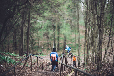 Rear view of mother with baby carriage while walking on footpath in forest