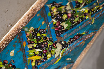 High angle view of fruits on table