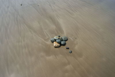 High angle view of ball on beach