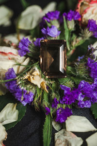 High angle view of purple flowering plants on table