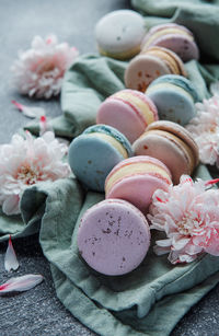 Beautiful colorful tasty macaroons and white flowers on a concrete background