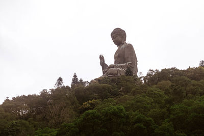 Low angle view of trees