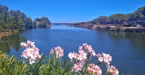 Scenic view of river and mountains against clear blue sky