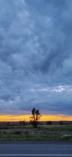 Scenic view of field against sky during sunset