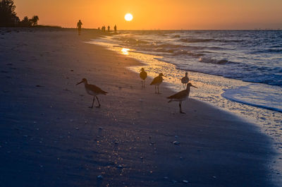 Scenic view of beach against sky during sunset