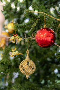 Close-up of christmas decoration hanging on tree