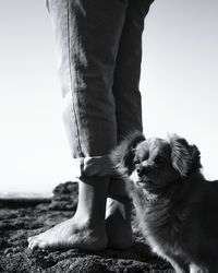 Close-up of man holding monkey against sky