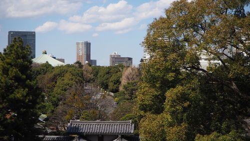 Trees and buildings against sky