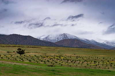 Scenic view of field and mountains against sky