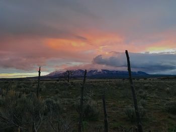 Scenic view of field against sky during sunset