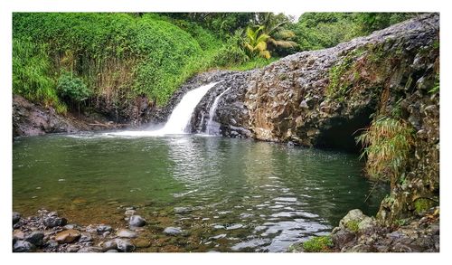 Scenic view of waterfall in forest