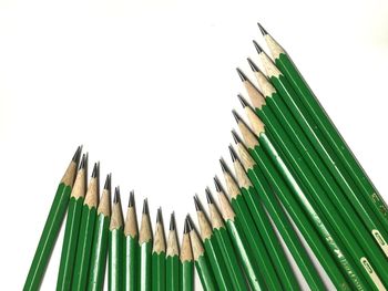 Low angle view of trees