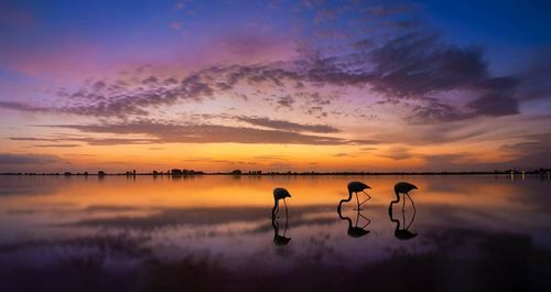 Scenic view of lake against dramatic sky during sunset