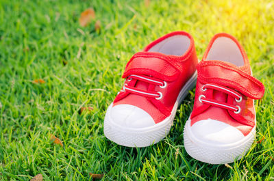 Close-up of red shoes on grassy field