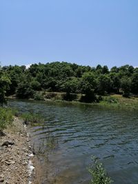 Scenic view of river against clear sky