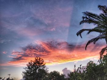 Low angle view of silhouette trees against sky