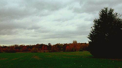 Scenic view of grassy field against cloudy sky