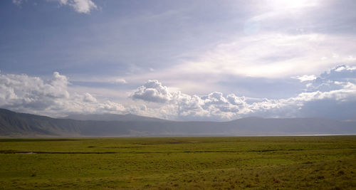 Ngorongoro crater landscape in tanzania.