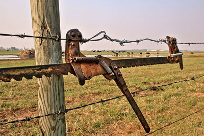Rusty barbed wire on grassy field