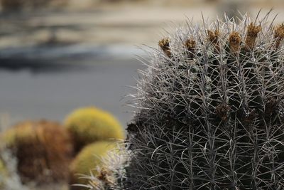 Close-up of water against sky
