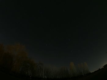 Low angle view of silhouette trees against sky at night