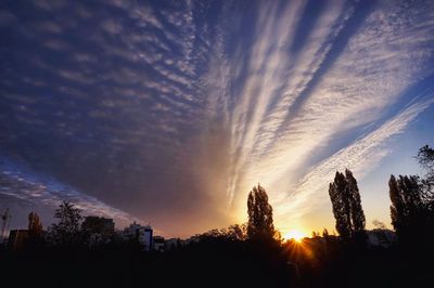 Low angle view of trees against sky