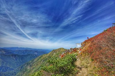 Scenic view of landscape against blue sky