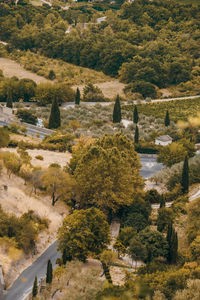 High angle view of trees on landscape