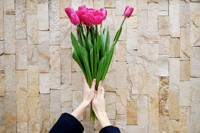 Hands holding tulips handbag on wall background