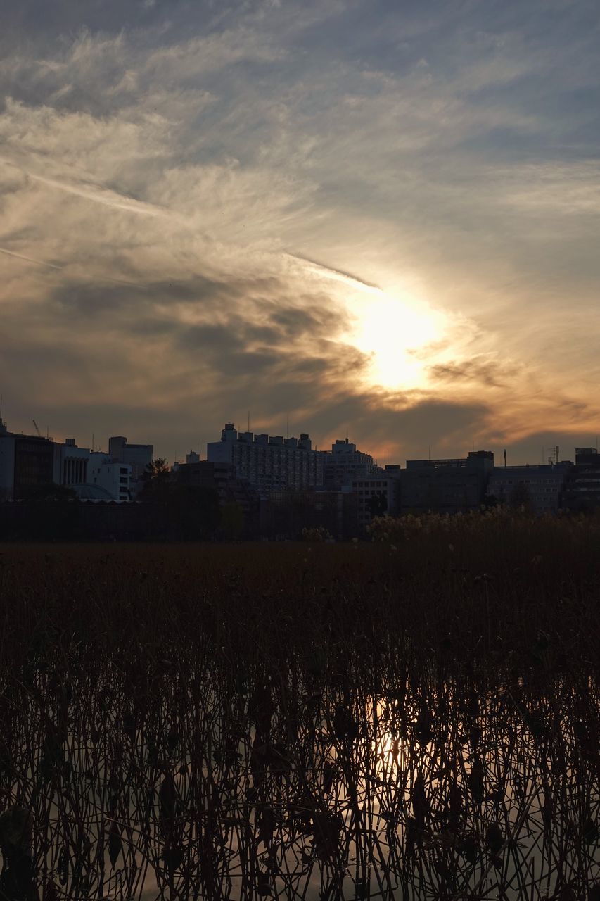 sunset, sky, architecture, building exterior, no people, growth, built structure, nature, outdoors, plant, silhouette, landscape, cityscape, city, beauty in nature, scenics, grass, day